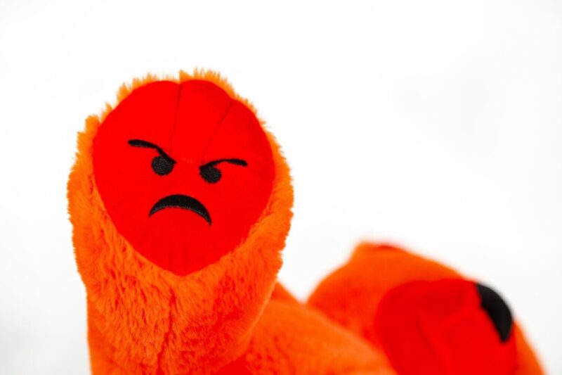 Mood Bears - ANGRY BEAR - Image 2